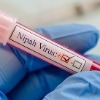 DGCI approves Truenat test kit for diagnosis of Nipah
