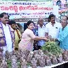మ‌ట్టితో చేసిన వినాయ‌క విగ్ర‌హాల‌ను మాత్ర‌మే వినియోగిద్దాం: విజయవాడ మేయ‌ర్