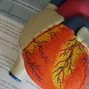 Adopt a simple and affordable lifestyle to prevent heart attacks