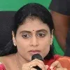 Its our bad fate to have minister like KTR says YS Sharmila