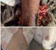 Eyewitnesses response on rapist Raju suicide