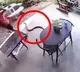 snake lunges at man while he was at a table