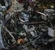 America Apologises For Kabul Drone Attack as Its Intelligence Went Wrong