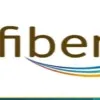 AP CID arrests IRTS Official Sambasivarao in AP Fibrenet case