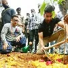 Amir Khan and Naga Chaitanya plants saplings in Hyderabad
