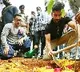 Amir Khan and Naga Chaitanya plants saplings in Hyderabad