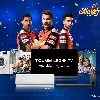 ​TCL Cricket Festival 2021 is Back
