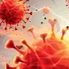 america once again struggle with corona virus
