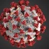 AP Corona details update
