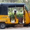 5 year old boy dies after tree fell on auto he was sitting in