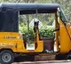 5 year old boy dies after tree fell on auto he was sitting in