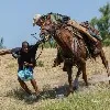 US Immigration Officers Thrashed Haiti Migrants With Reins
