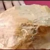 Rare stone fell down in field from sky while it was raining