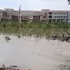 Telangana rains: Man washed away in overflowing stream
