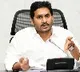 CM Jagan reviews on Amul Palavelluva
