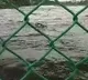 Musi river remains flooded, alert continues