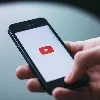 japan comopany survey on youtube