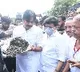 On Gandhi Jayanti, Pawan Kalyan fills potholes to target YSRCP