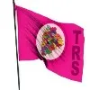 TRS star campaigners list fot Huzurabad bypolls