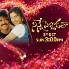Iconic Love Story Ninne Pelladatha on Star Maa