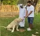 Yuvi Tug Of War With Liger At Dubai Fame Park