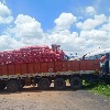 Kisan Rail transports 361 tonnes of Telangana onions to Bengal