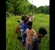 Pawan Kalyan shares a video of Janasena workers