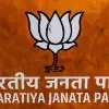Telugu leaders in BJP executive committee