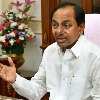 Telangana CM announces action plan to settle Podu lands issue