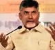 Chandrababu criticizes YCP govt