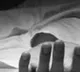 Daughters pray over mothers body hoping for return to life in Tamil Nadu