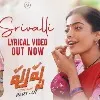 Pushpa lyrical video song released