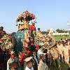 Dasara 'Jumbo Savari' to be held in Mysuru palace on Friday