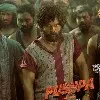 Pushpa movie update