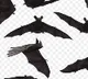 bats only saved us say villagers