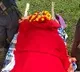 Maoist top leader RK funerals organized in forest area