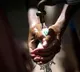 230 crore people away from hand hygien