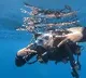 Priyanka Chopra gets wet in scuba diving pics