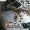 Pattabhi family members told media what happened