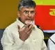 Chandrababu seeks central forces security to tackle attacks on TDP leaders