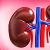 American Scientists transplant pigs kidney to a man