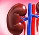 American Scientists transplant pigs kidney to a man