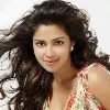 Amala Paul to pair up with Nagarjuna