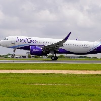IndiGo to maintain dominance, despite Tata's thrust
