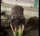vegetables seller video goes viral