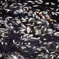 China polluting rivers flowing to India