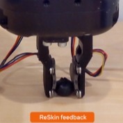 FB researchers develop softer skin, fingertips for sensitive robots