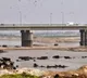 This is the most polluted city in the world
