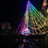 Wow! Now, India's tallest Christmas Tree dazzles even on Diwali