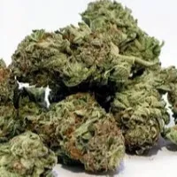 Police Constable arrested for Ganja illegal transport